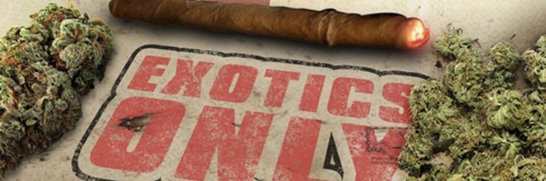SuzzieBee30's profile banner image