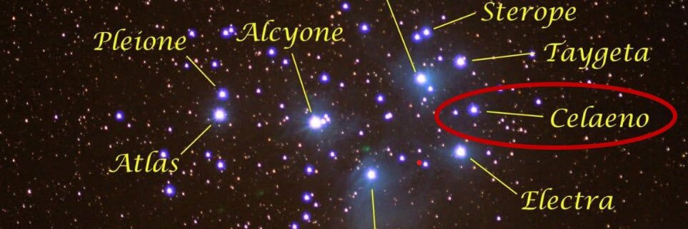 ⭐️TheStar119⭐️ banner