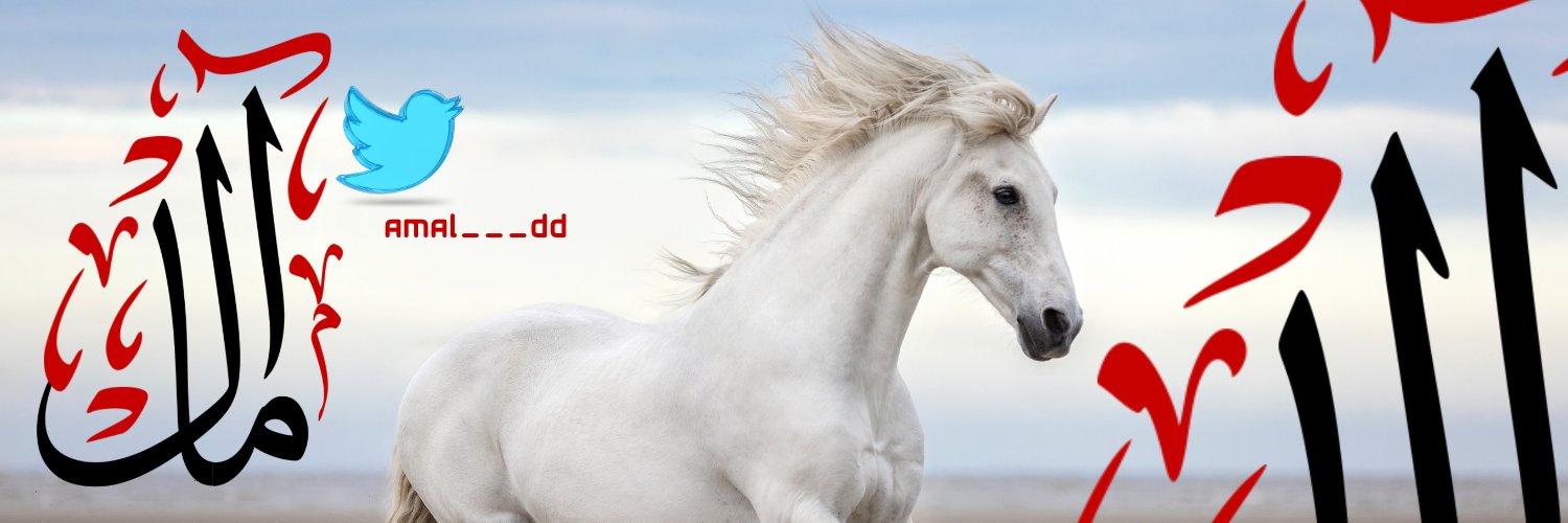 Amal___Dd's profile banner image
