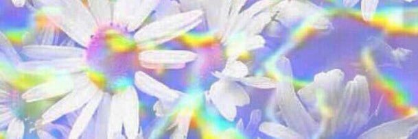 jacki3schmidt's profile banner image