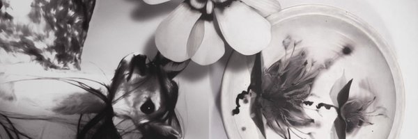 auresteia Profile Banner