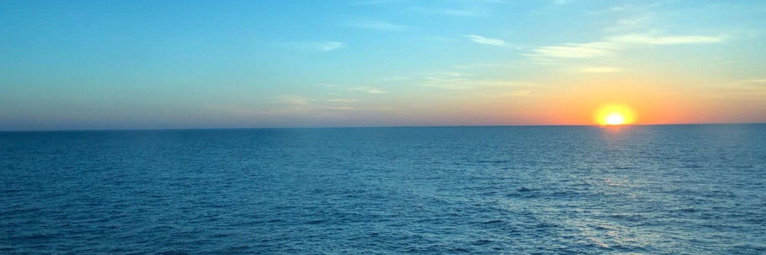 marli_stender's profile banner image