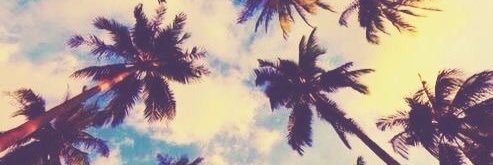 uni_ceja's profile banner image