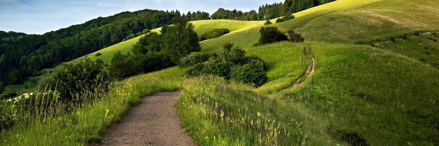 SebiRCC99's profile banner image