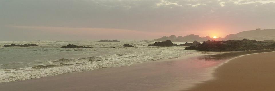 Elisabeth_RRM's profile banner image