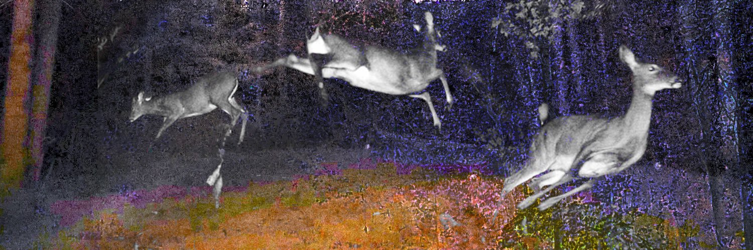 billyzlit's profile banner image