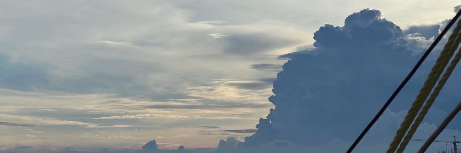 n793900's profile banner image