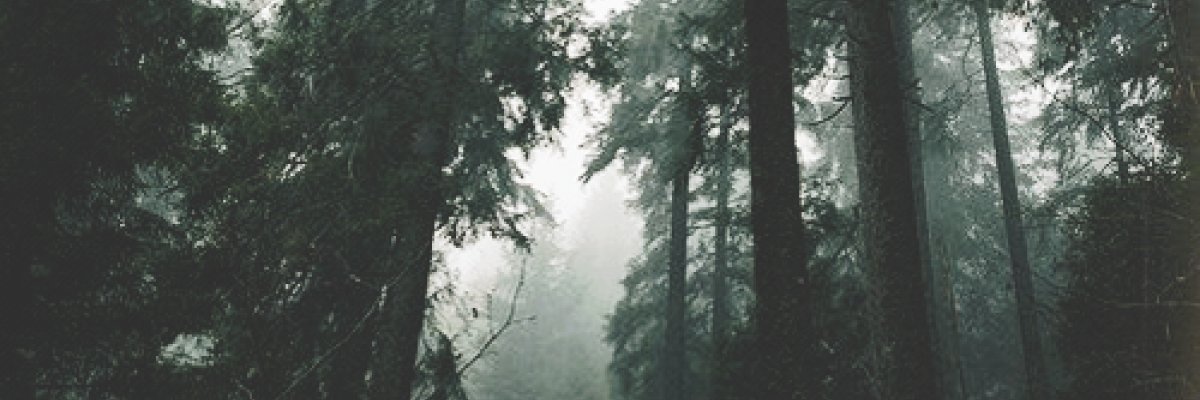 DeeDubs12's profile banner image