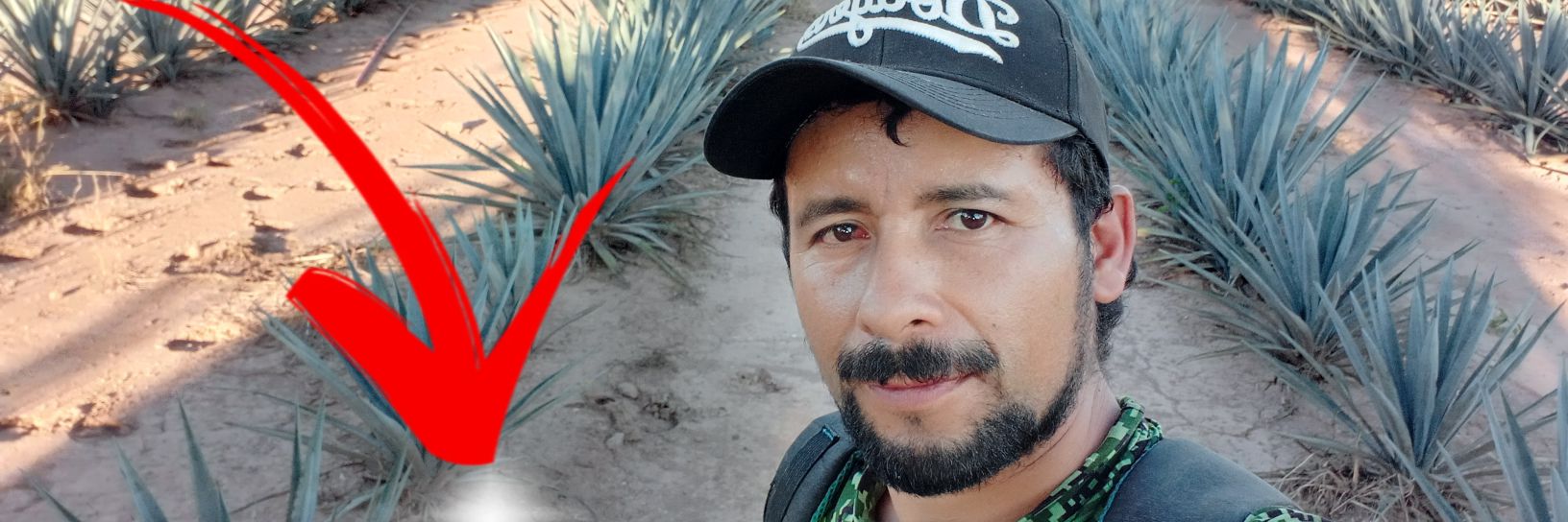 TocarPaez's profile banner image