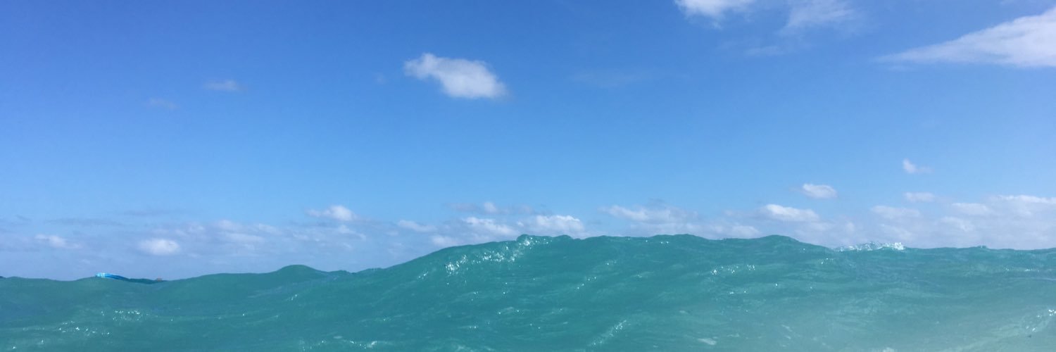 Braydon Roberts banner