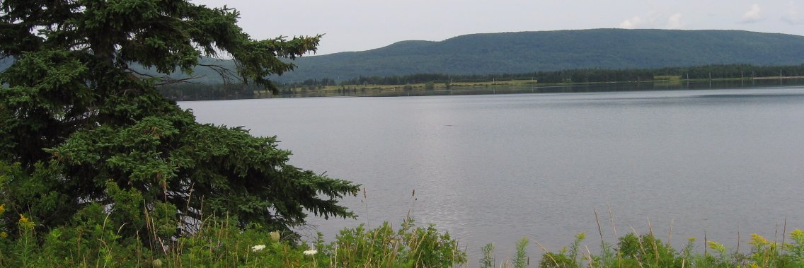 mclaughl10's profile banner image