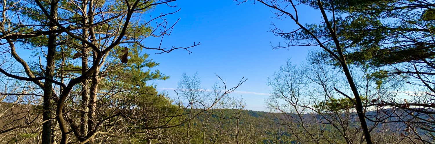 spensored's profile banner image