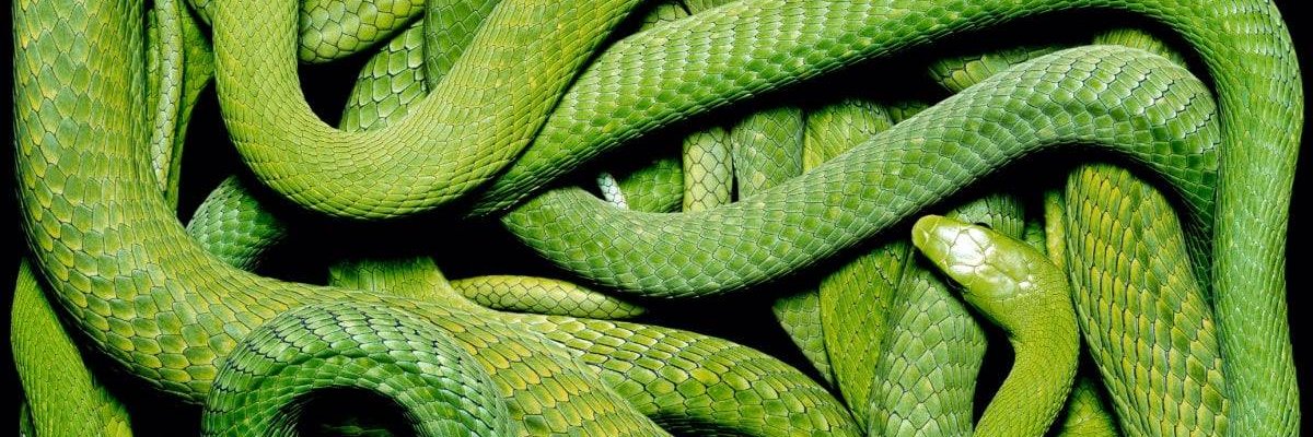 rubenfigueroa_'s profile banner image