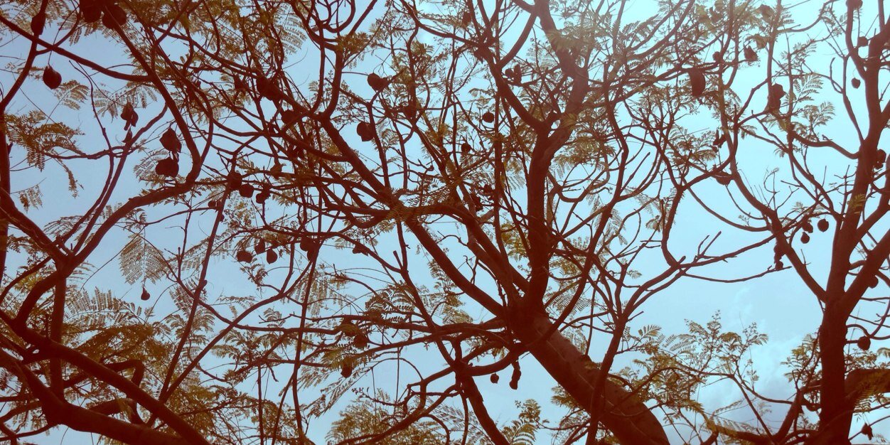 ninavitac's profile banner image