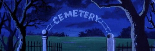 Jennerator20's profile banner image