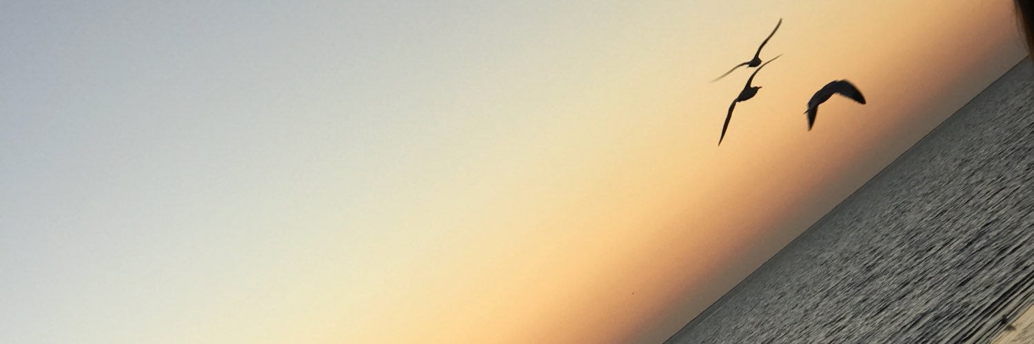 BeatrizArmenta's profile banner image