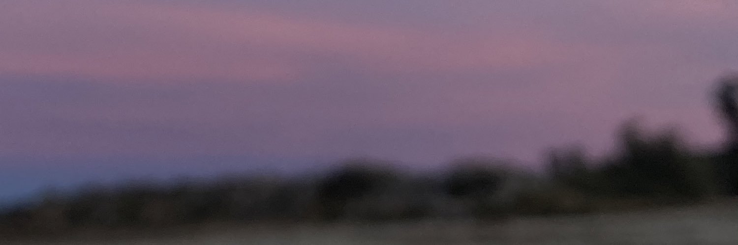 blbuoi's profile banner image