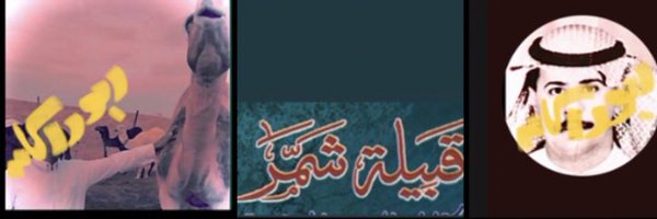abal000 Profile Banner