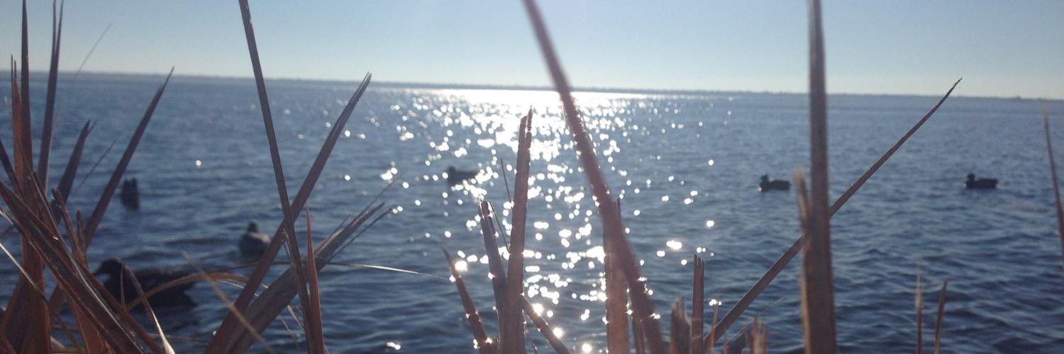 Sicktrickintune's profile banner image
