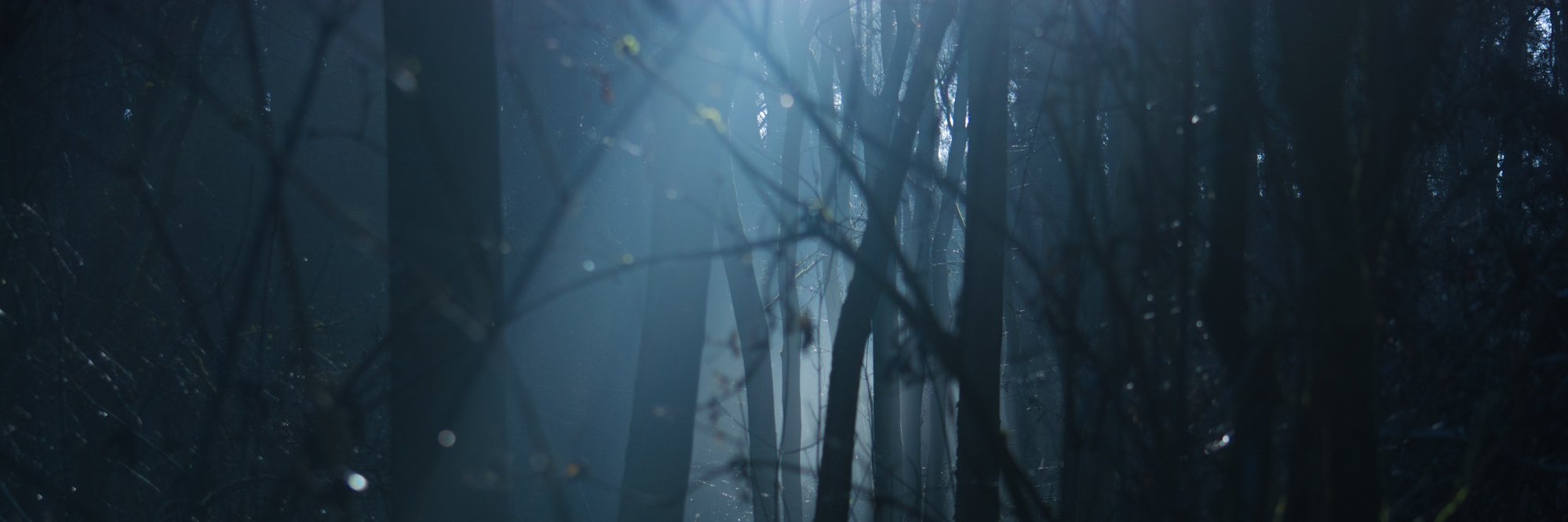 Dull_Light's profile banner image