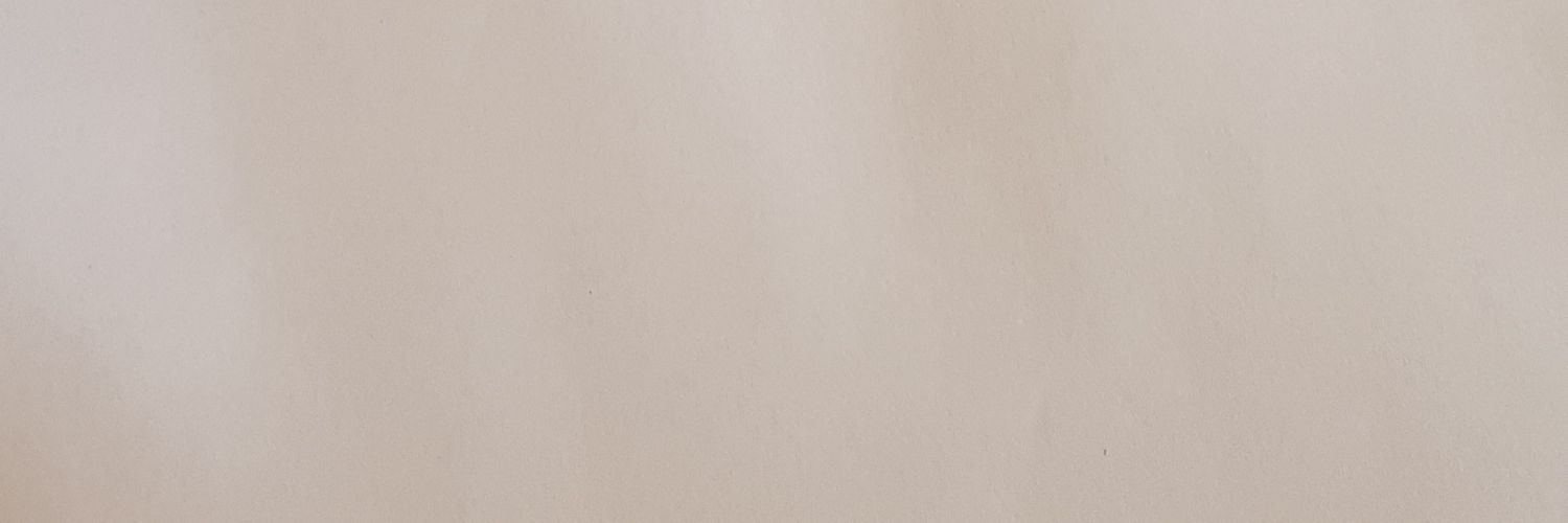 vane_vasquezr's profile banner image