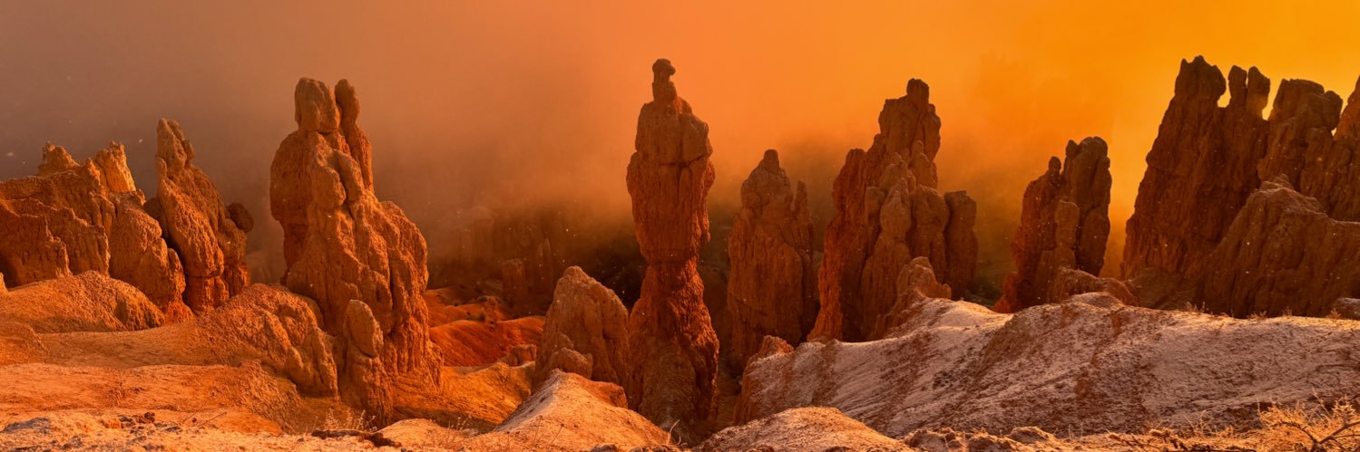 Stephanie BerniNg (🆖) banner