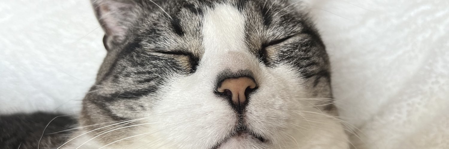 FrickleMyPickle's profile banner image