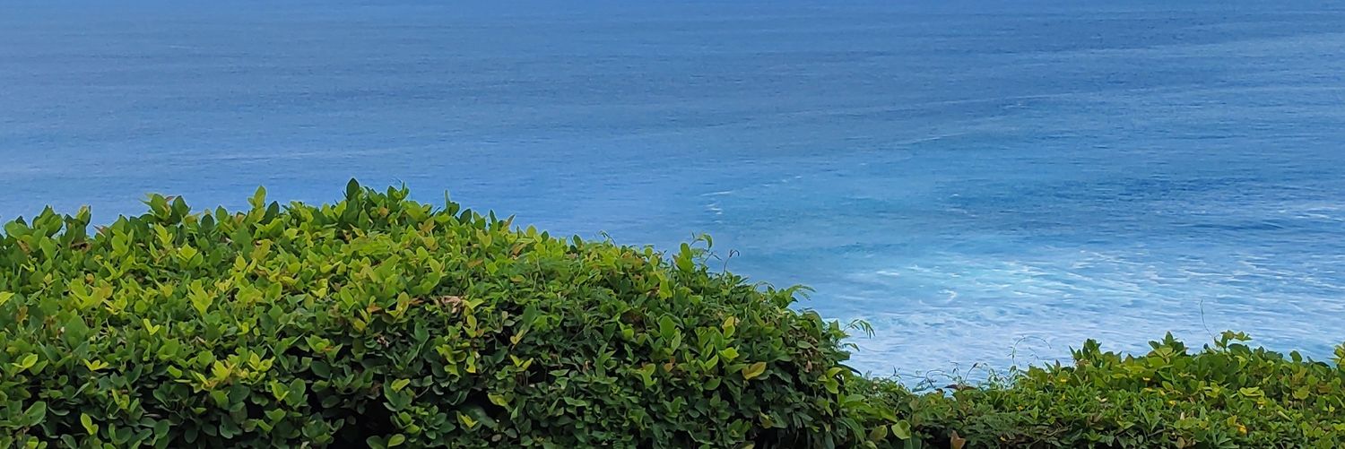 KarinSukarmin's profile banner image