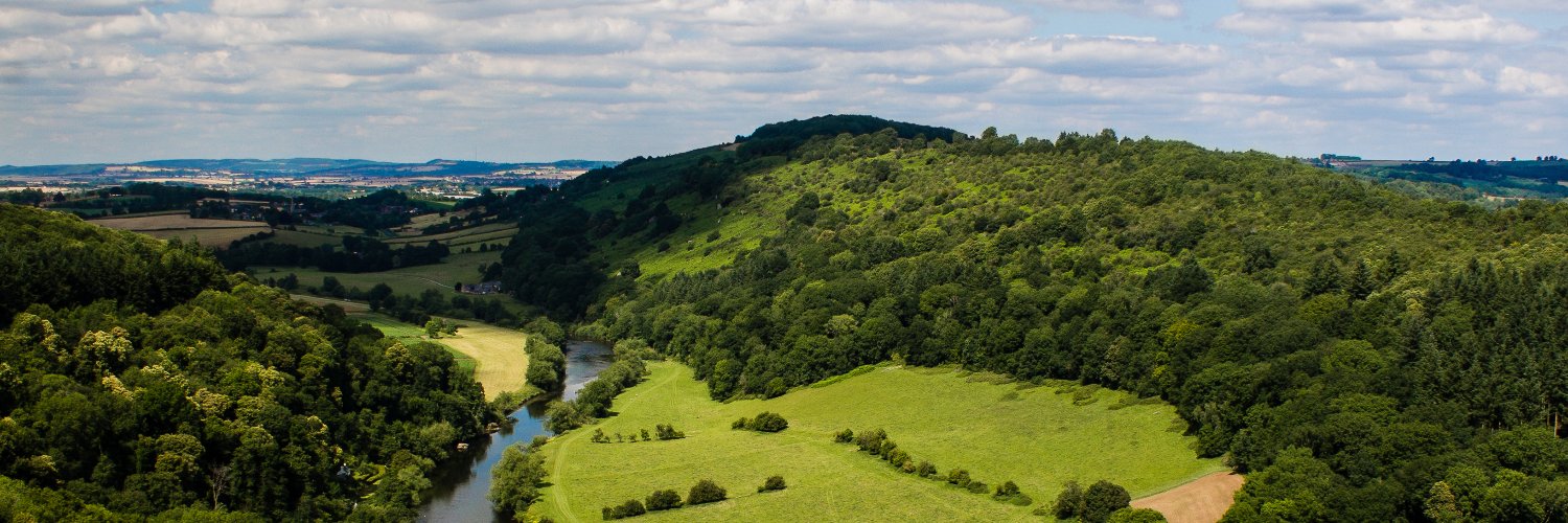 Michaela Herrmann banner