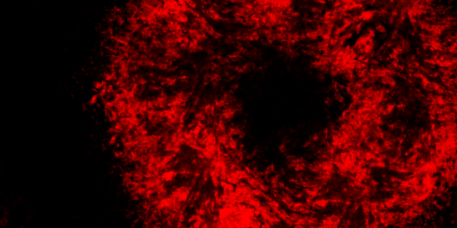 Splain13's profile banner image