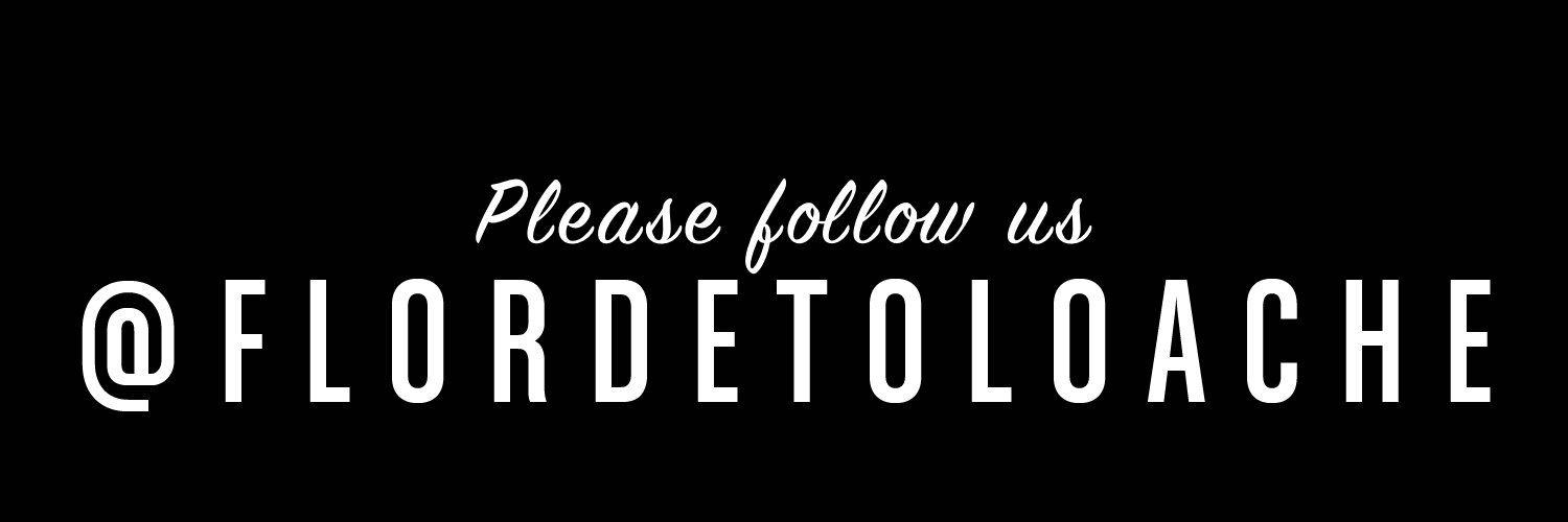 Flor de Toloache banner