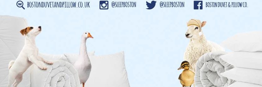 sleepboston's profile banner image