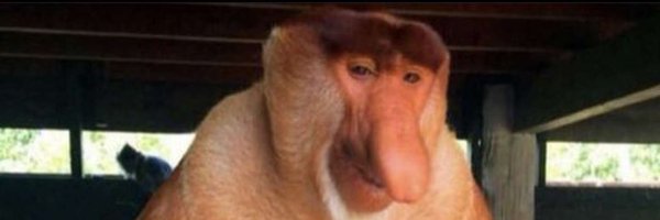 TravisMargo Profile Banner