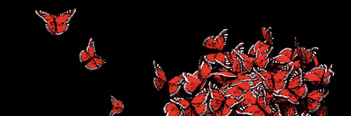 maddybarkerrr's profile banner image