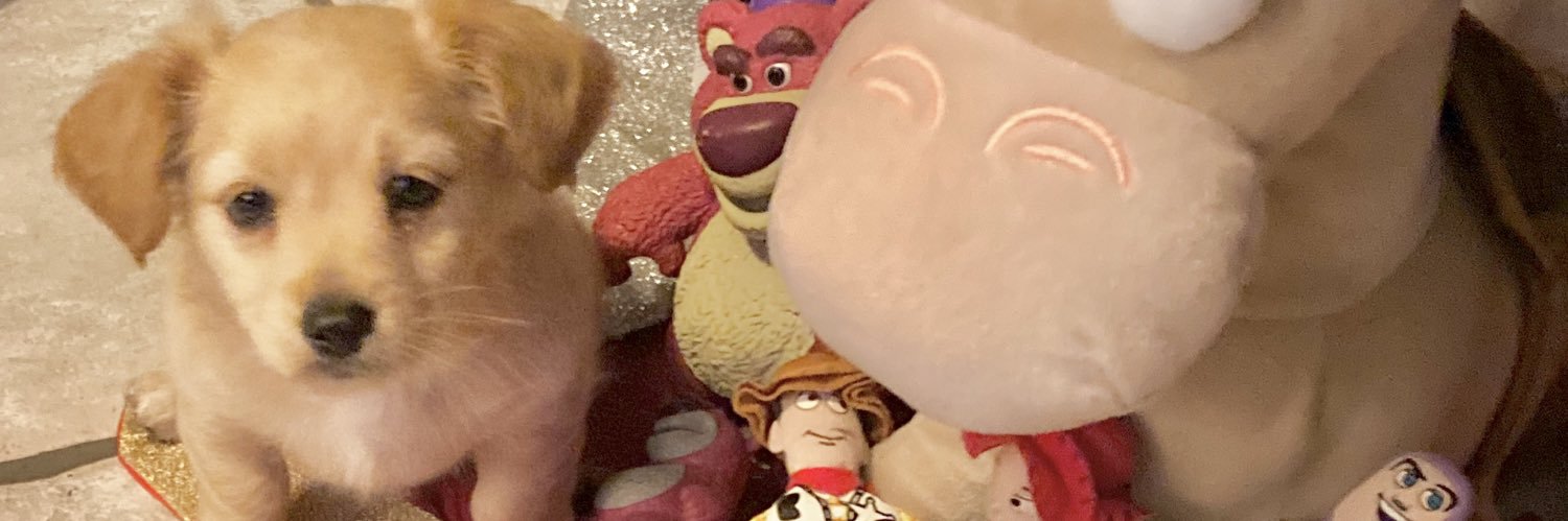 yvettee03's profile banner image