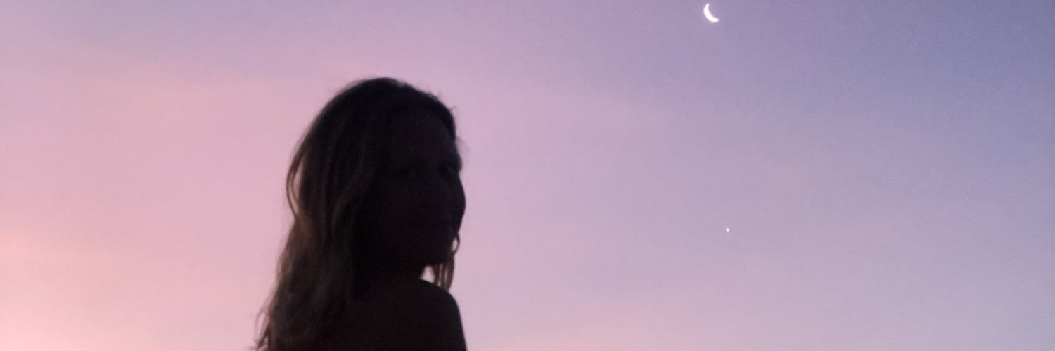 sofiorlinsky's profile banner image
