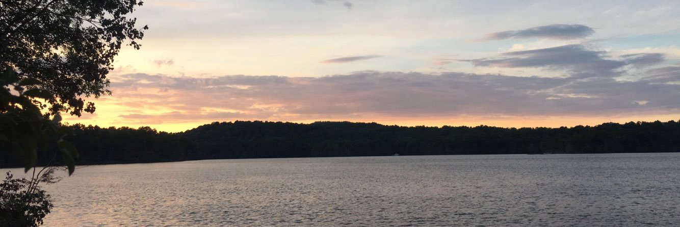 haleygreynolds's profile banner image