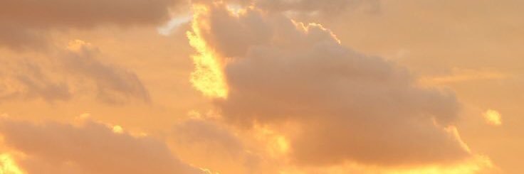 brialighieri's profile banner image