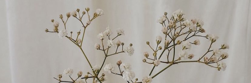 _BreaunaKing's profile banner image