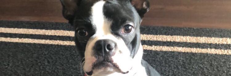 tee_p_3's profile banner image