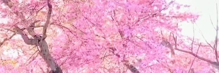 jimshegas's profile banner image