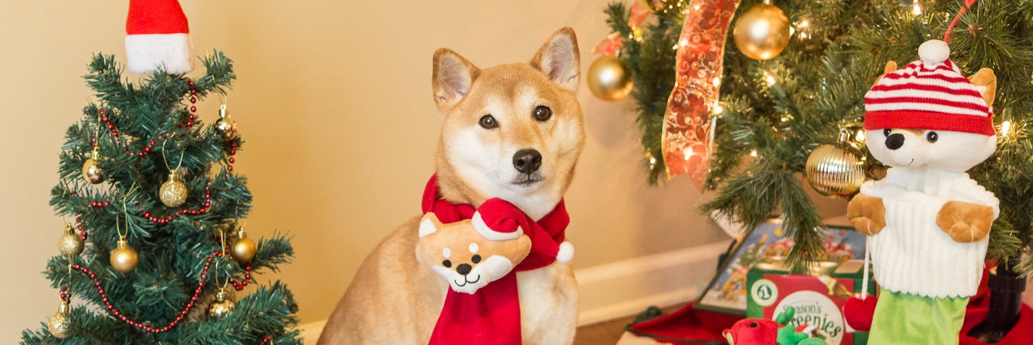 TheYukinator's profile banner image