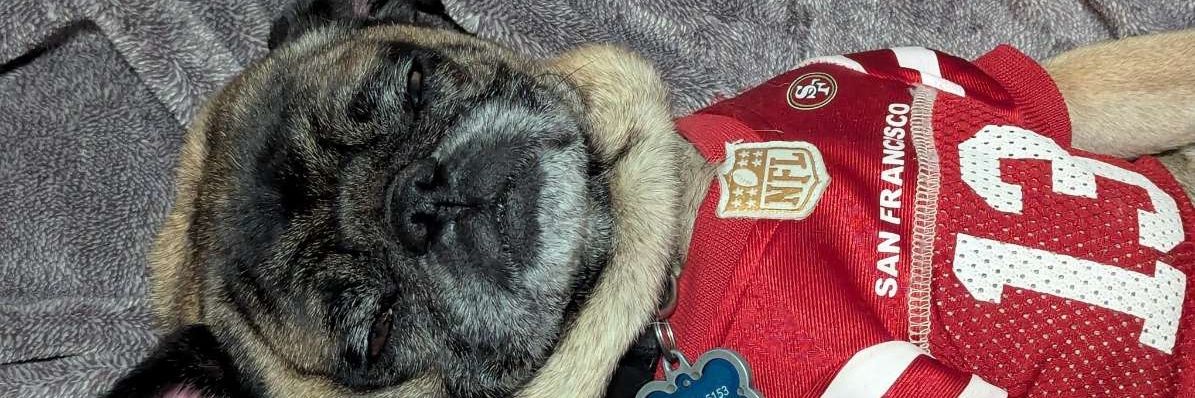 Creep meister banner