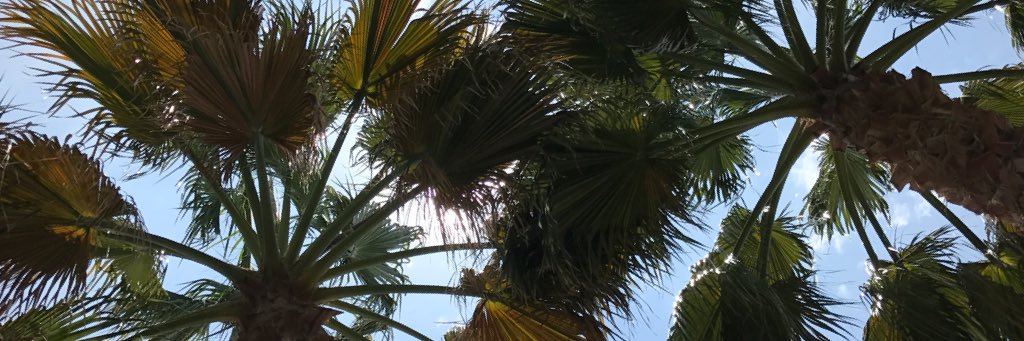 tucsonmacjack's profile banner image