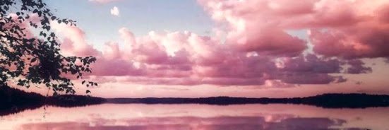 MissesPops's profile banner image