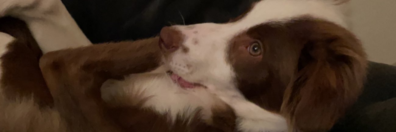 CBDabuser's profile banner image