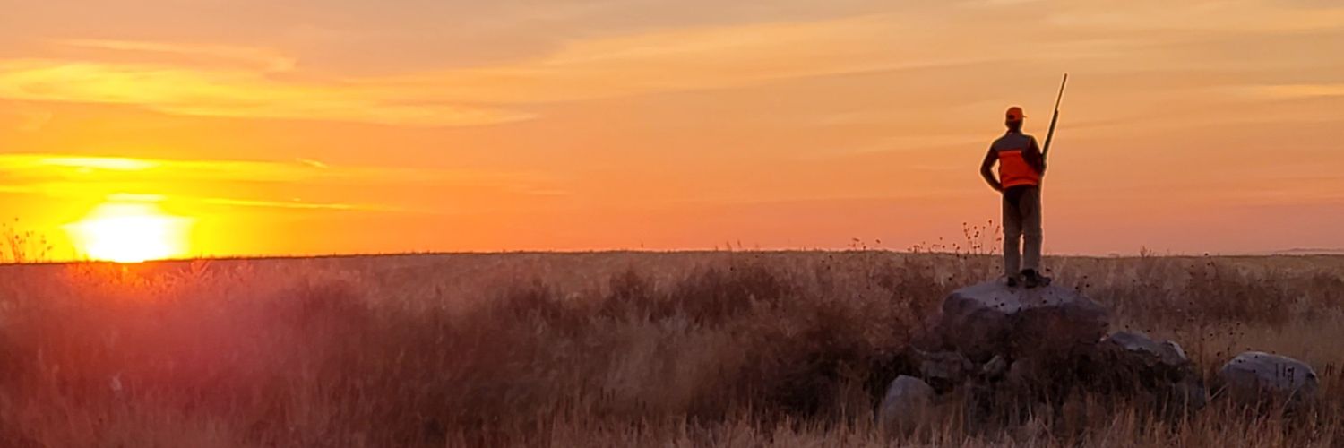 Scarecrow_21's profile banner image