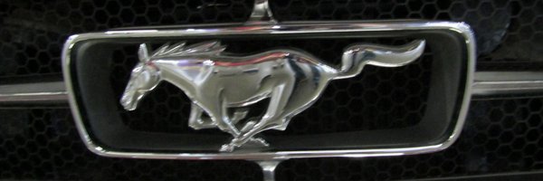 MANUELFILIPE67 Profile Banner