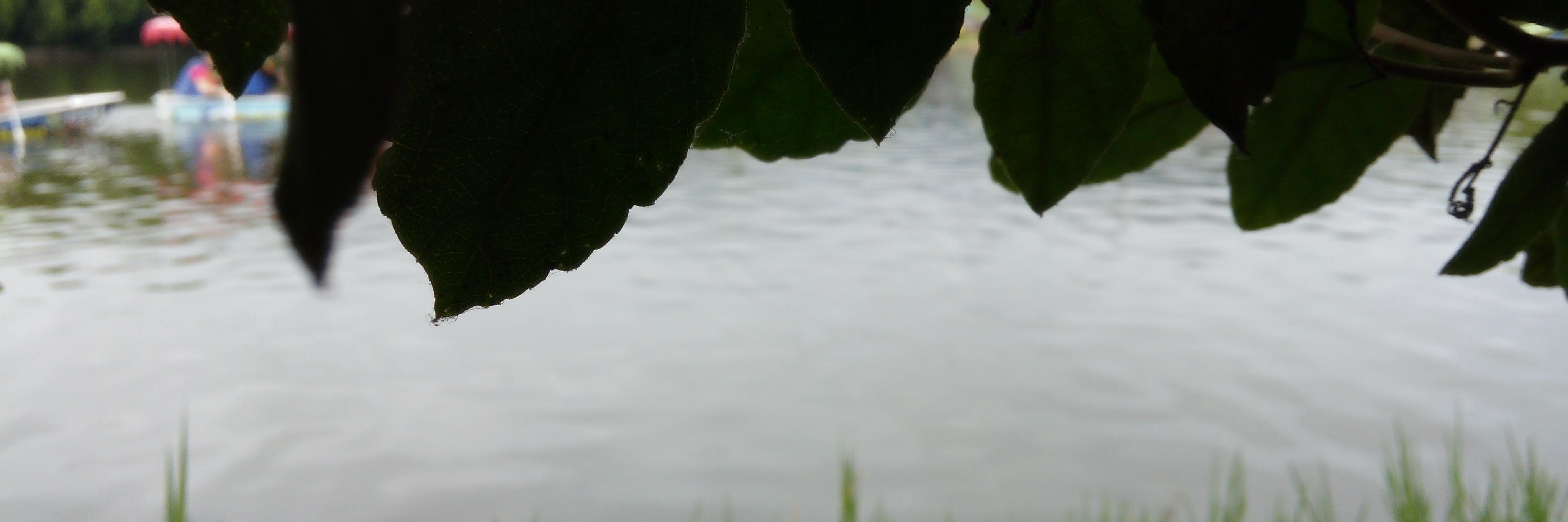 danyHP_'s profile banner image