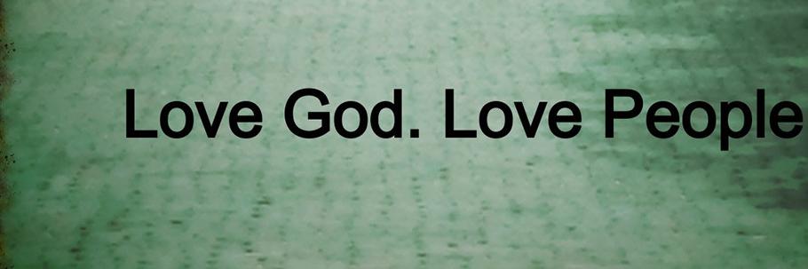 ginger_larson's profile banner image